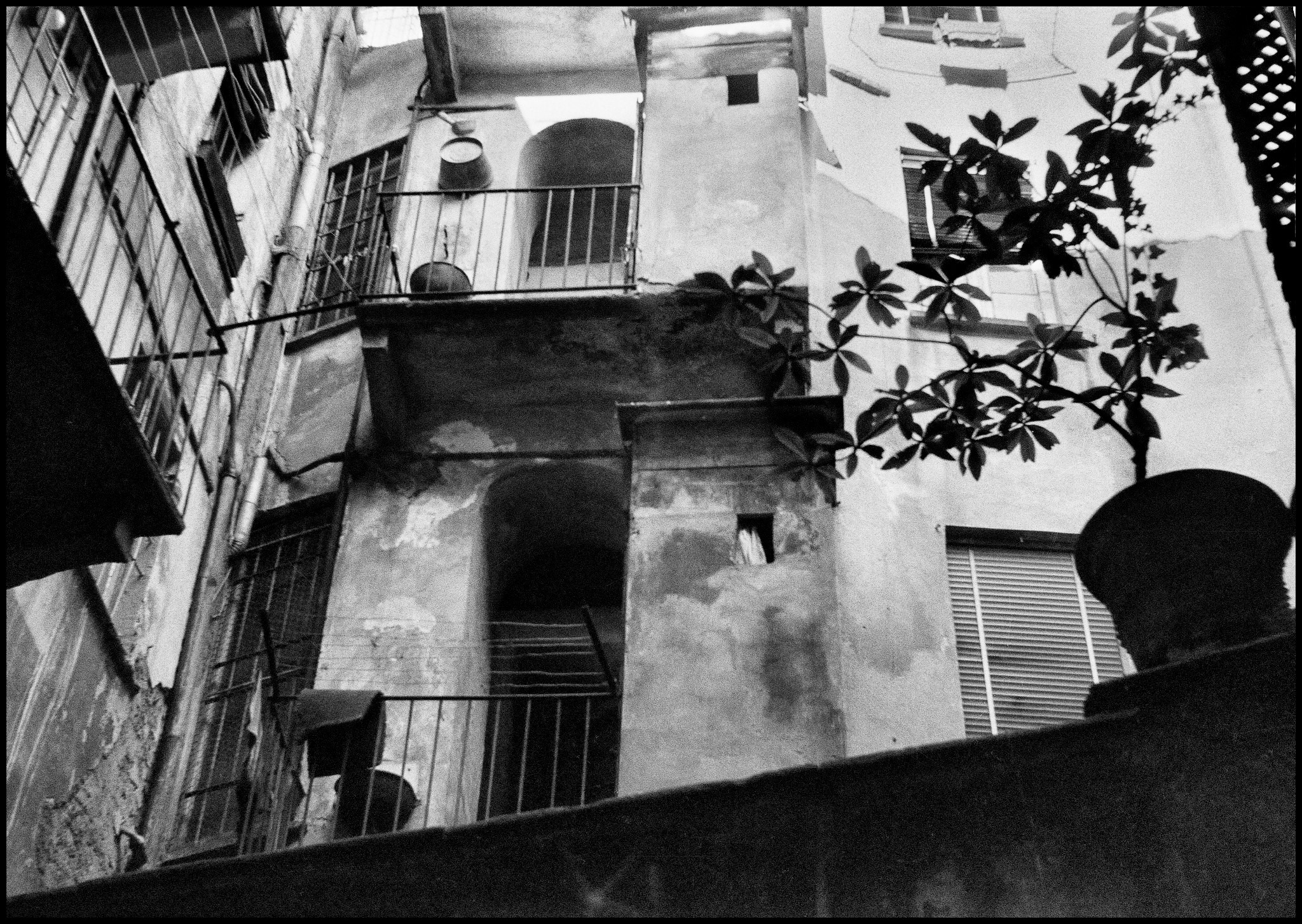 Davide Mengacci Milano 1