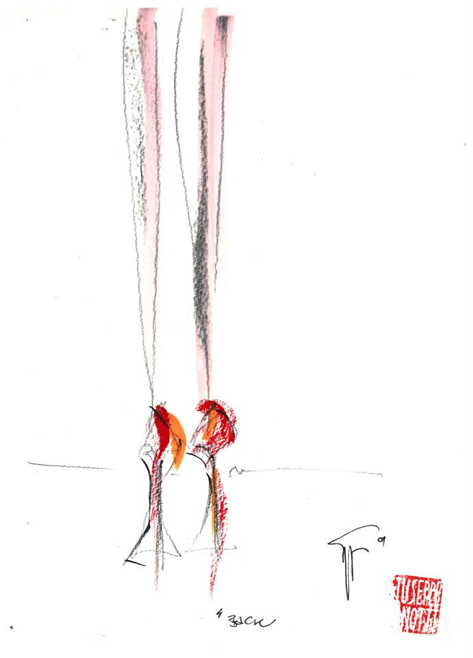 Giuseppe Zanotti Back